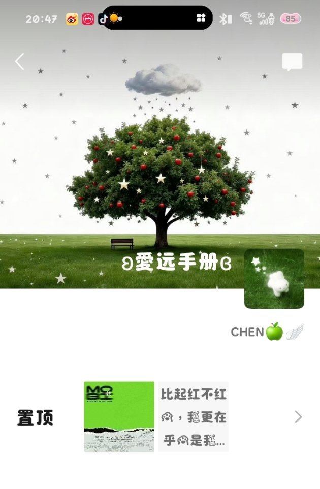 我还是换头像了……