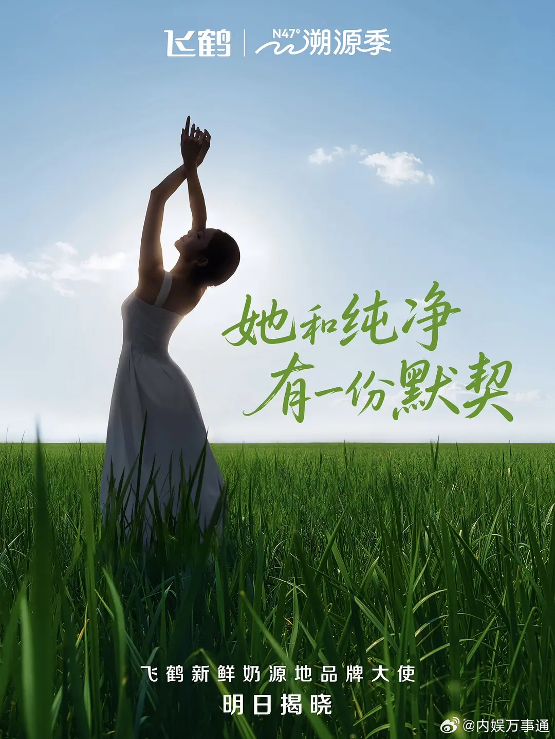 刘浩存新代言来了，飞鹤奶酪全球品牌代言人