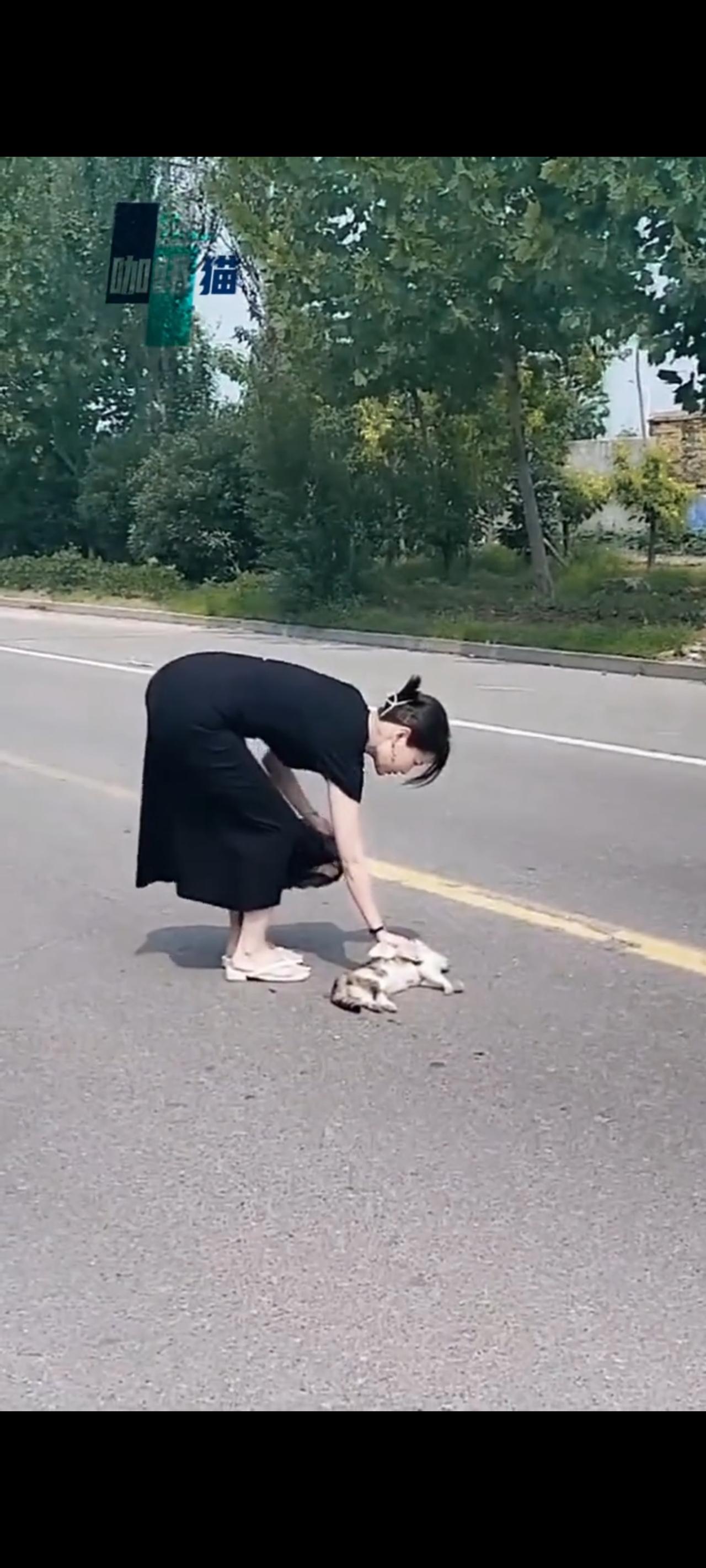 面前的小姐姐收拾完流浪猫的遗骸，替她留下了最体面的容颜！

这只流浪猫在过马路的