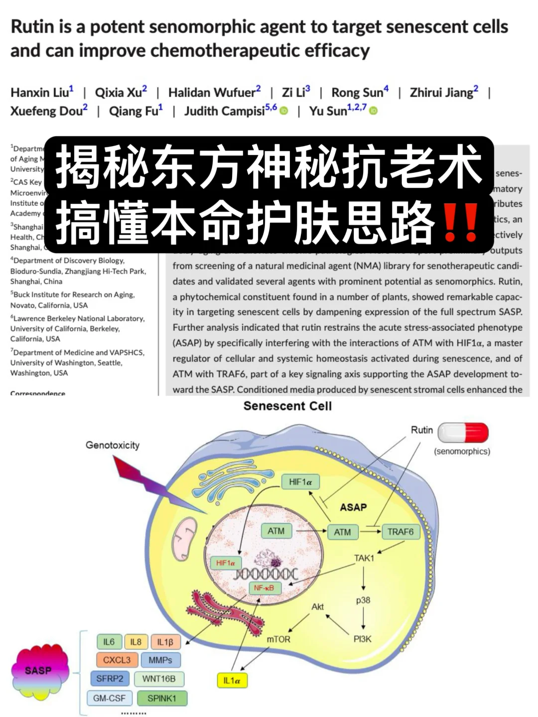 抗老还分地域？深扒专属东方肌肤的本命思路