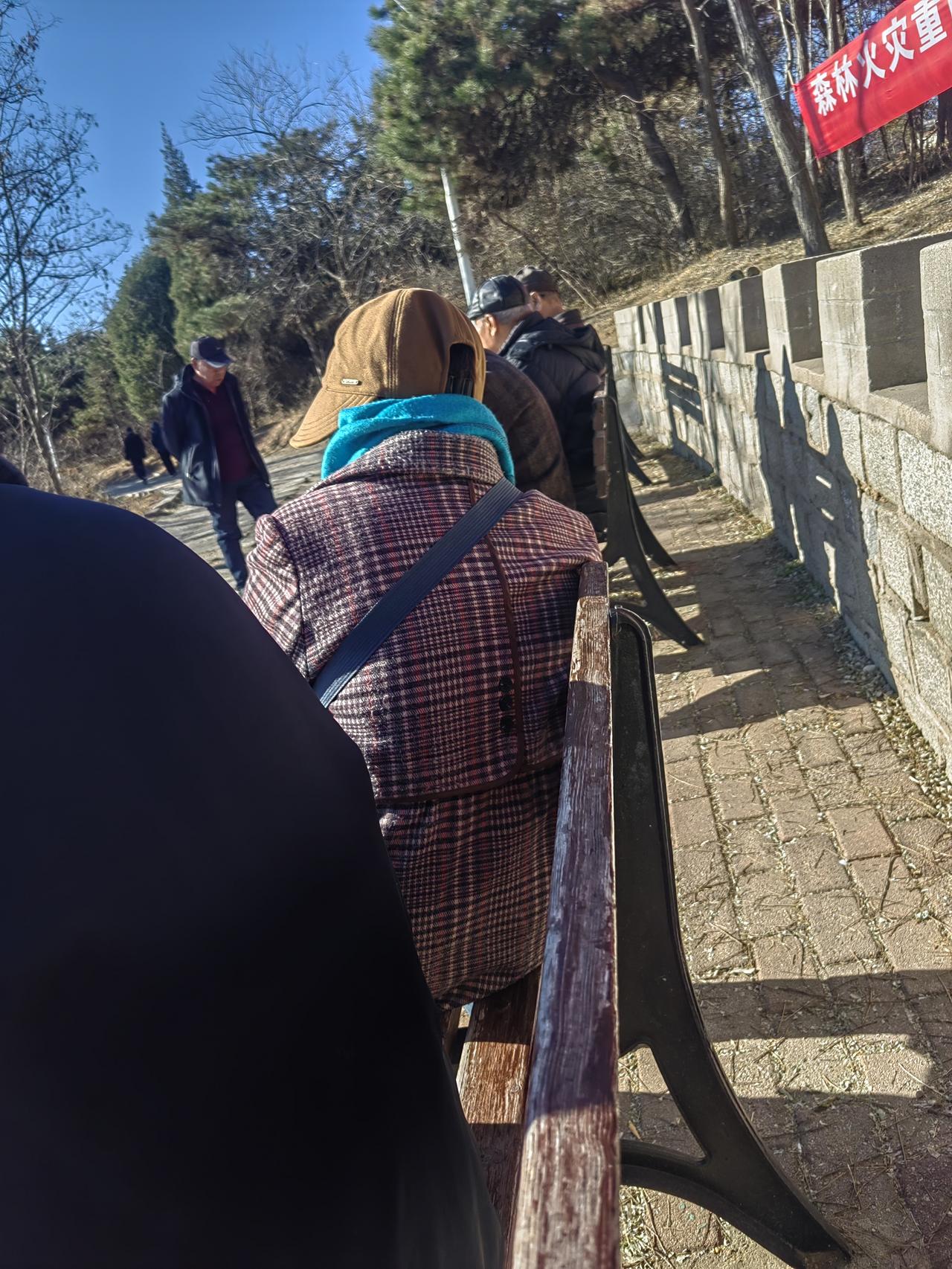 生活日记——分享晒太阳的好处

冬日里，每天去山林公园，都能看到许多老年人，坐在