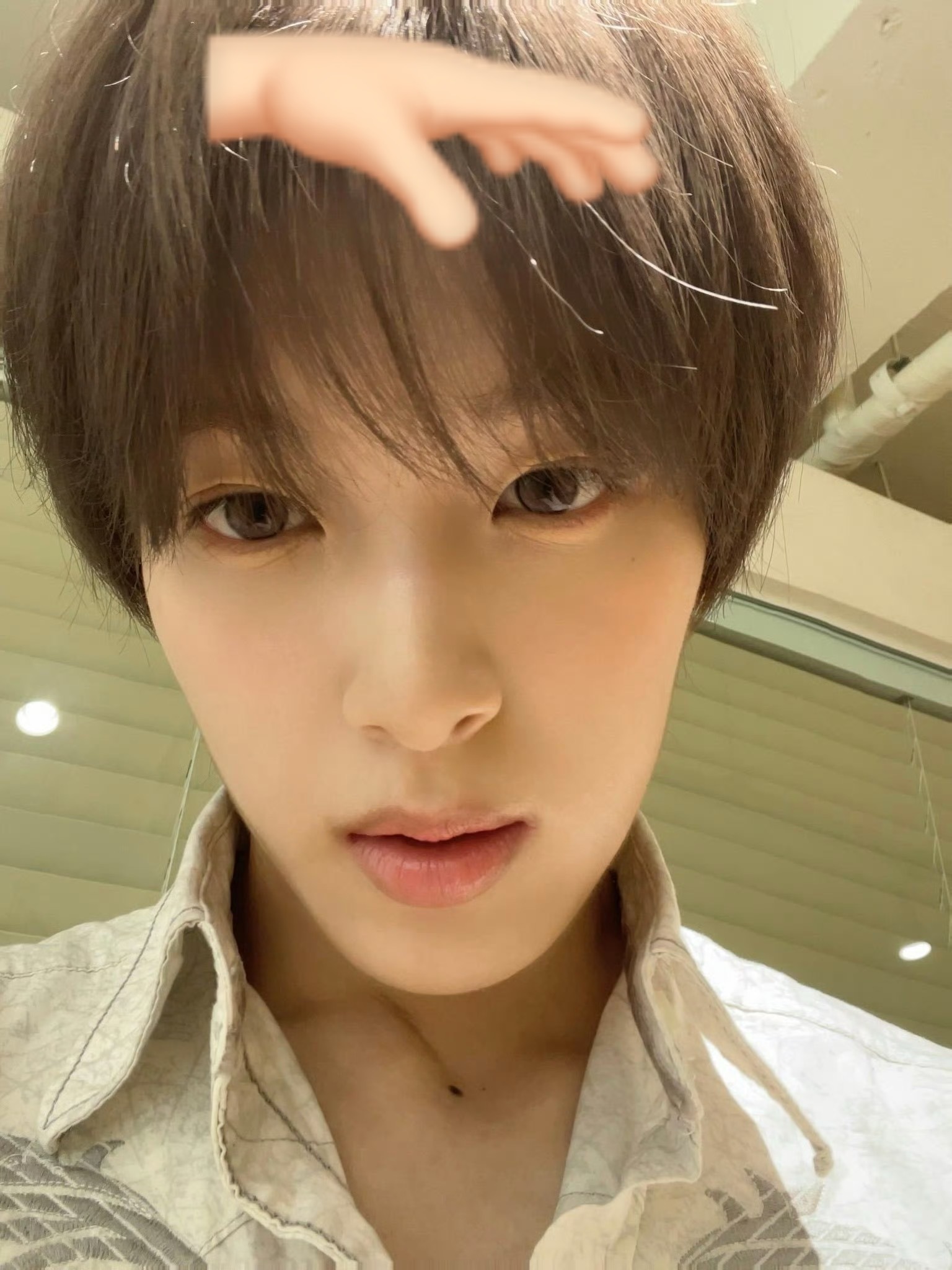 Masato 摸摸豚鼠头 