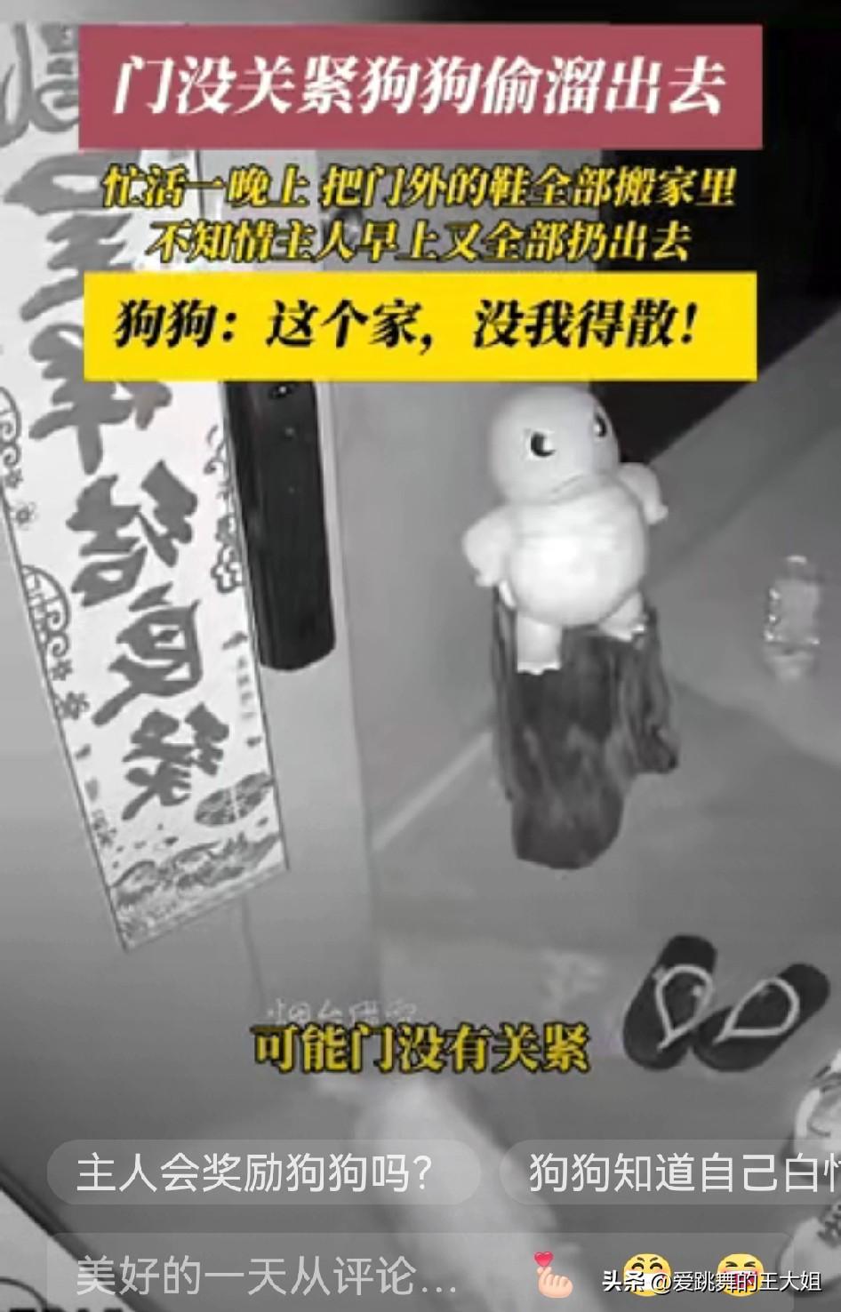 “笑不活了！”浙江，某住户遛完狗回家由于房门没有闭紧，狗子半夜撞开房门，把门口的