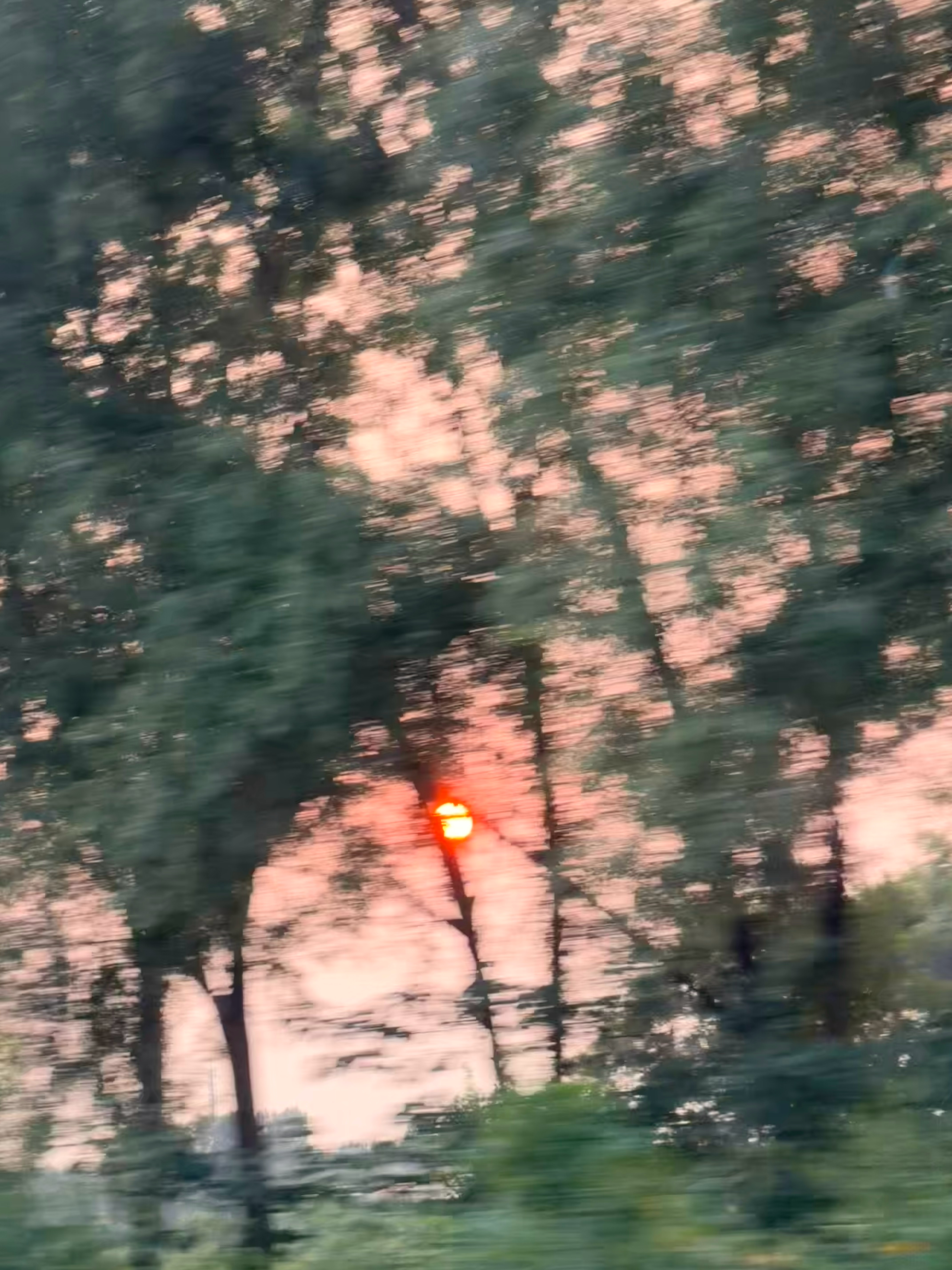 我好喜欢这个氛围千奇百怪的日常❤️ ​​​