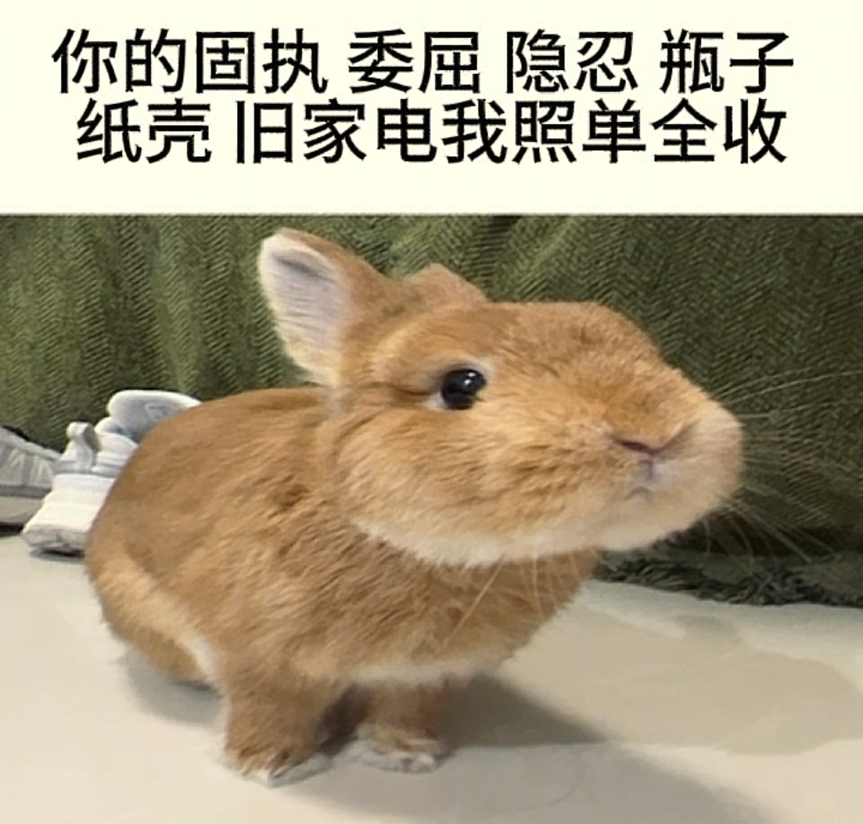 睡觉了 