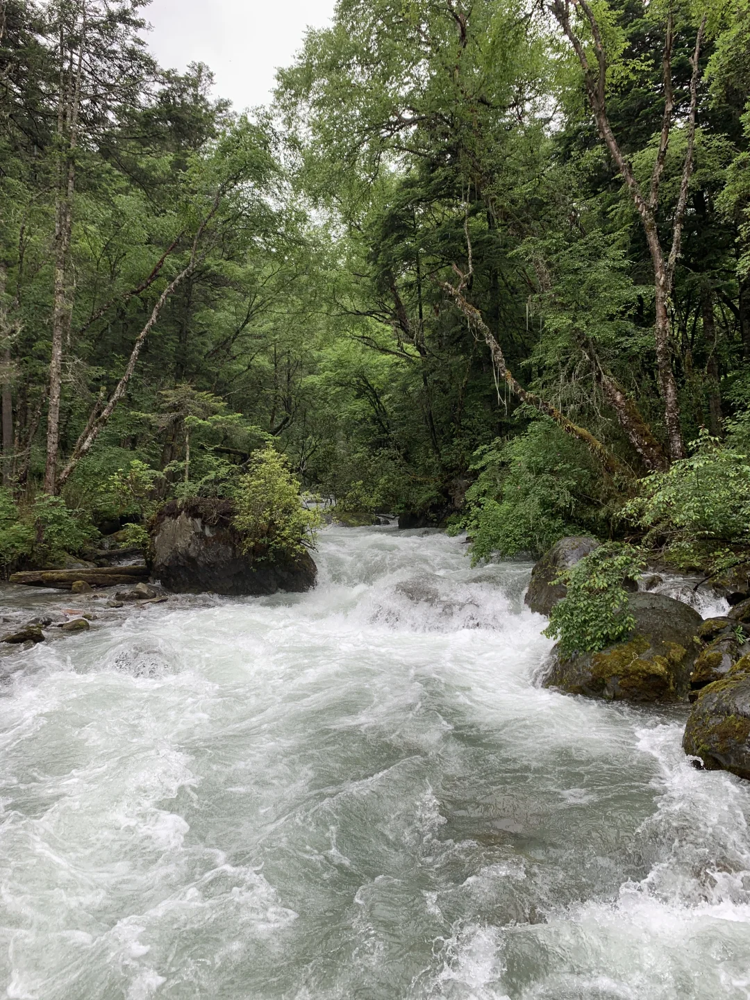 去山里听水声｜溪流声治愈一切