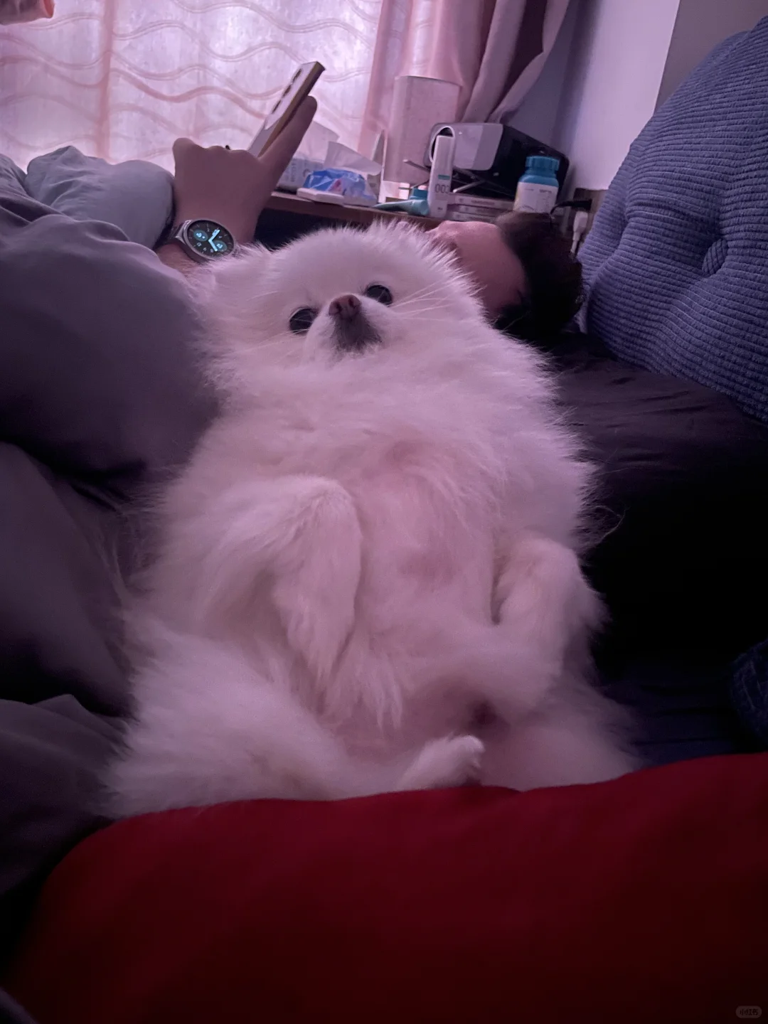 谁懂啊一大早得看到了这个