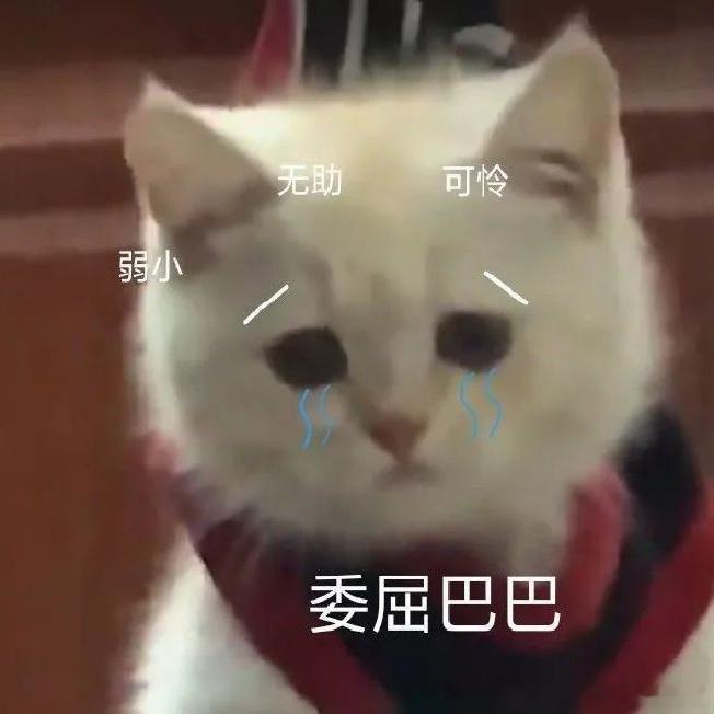 补了六颗圆润离开