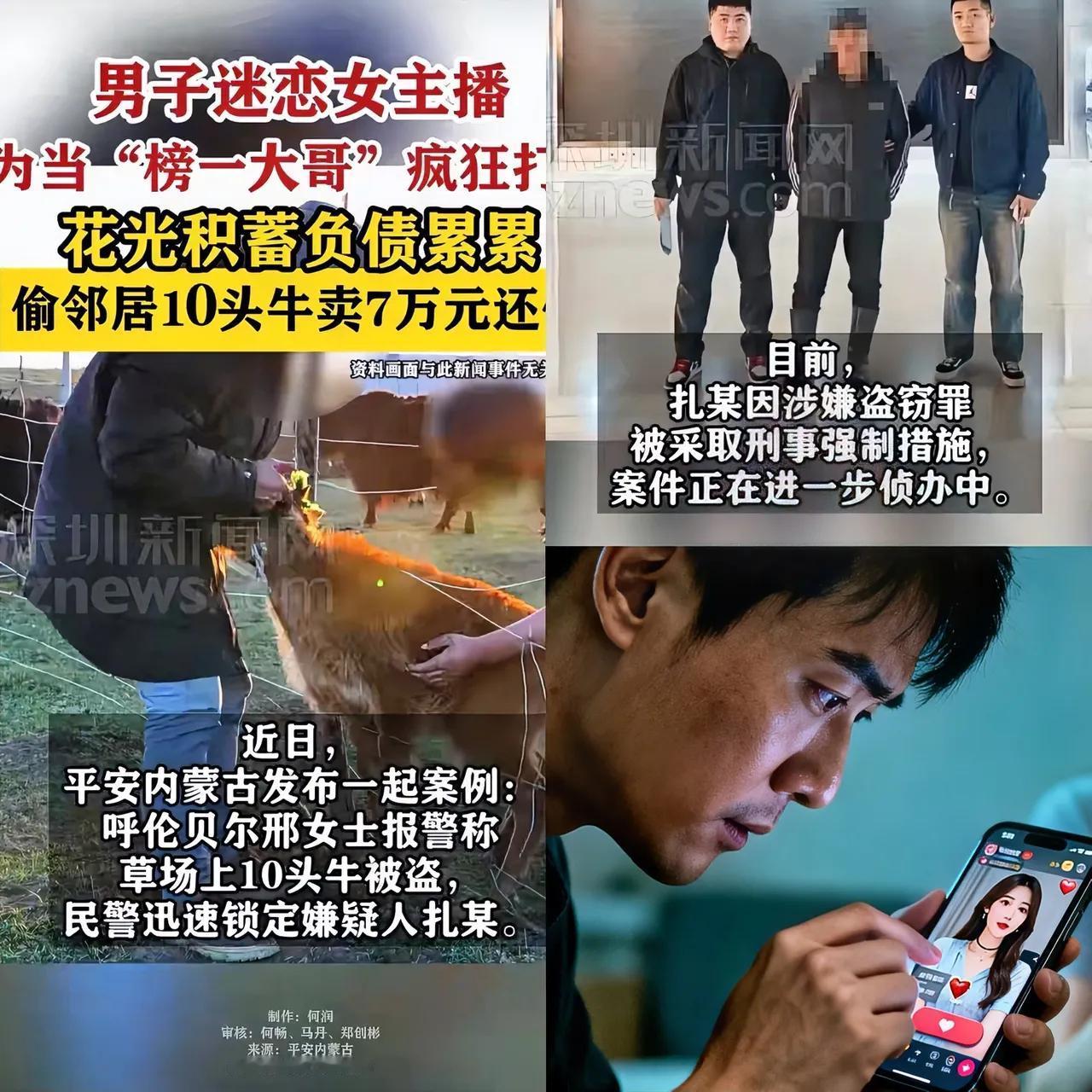 男子扎某在内蒙古，因为想当女主播的榜一大哥，竟然偷了邻居的牛。
扎某偷了邻居的牛