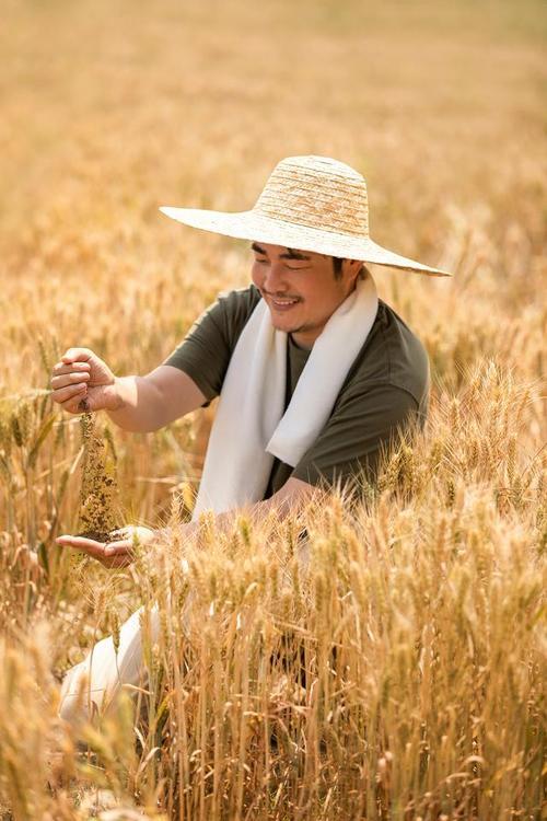 谁能帮忙捋捋这算怎么回事儿？
河南新乡一位农户趁着秋收，准备挣点辛苦钱贴补家用。