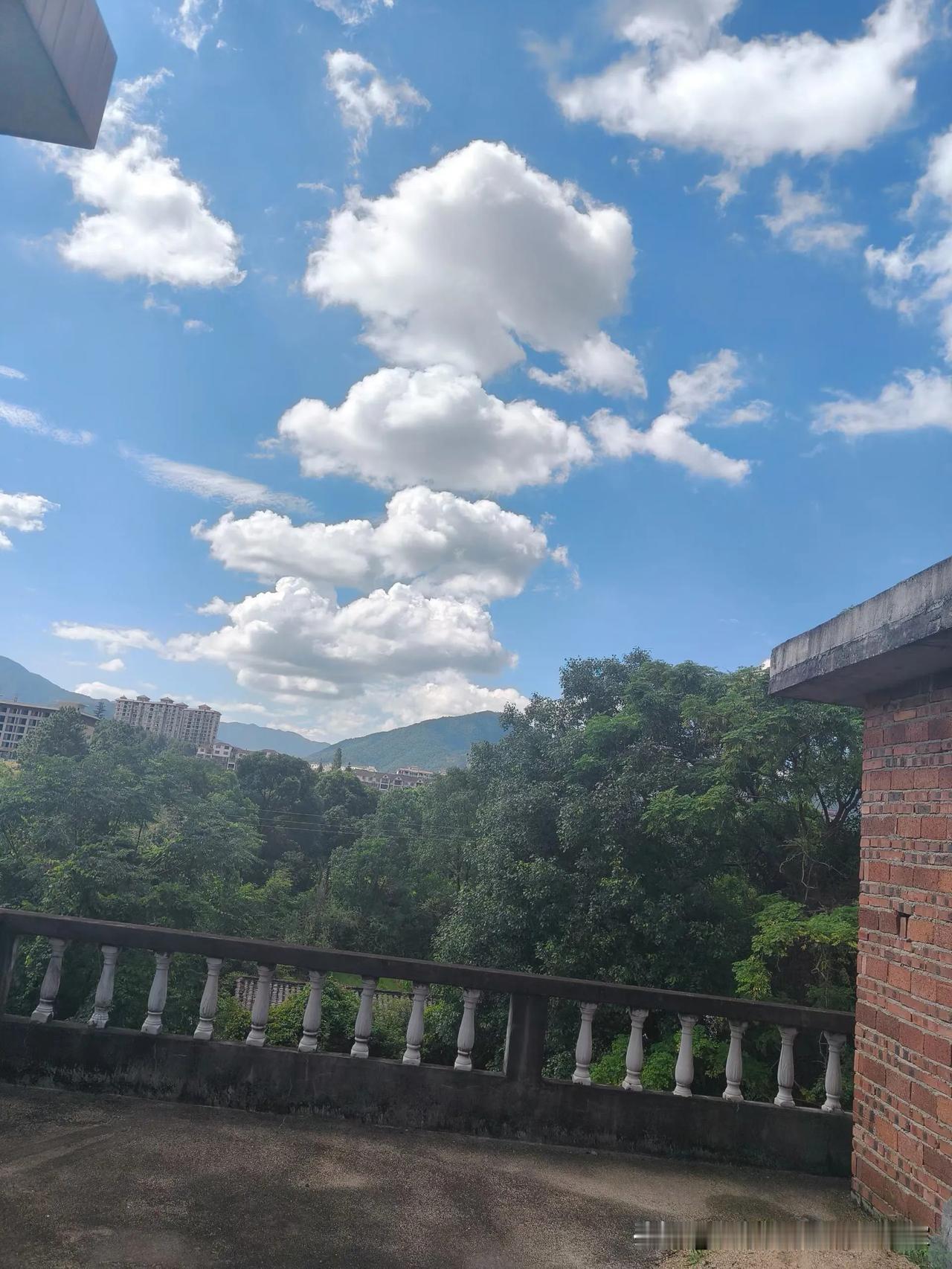 分享你随手拍的风景