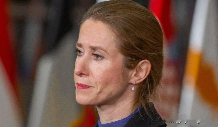 🇪🇺欧盟外交事务负责人卡拉斯宣布，欧盟将向亚美尼亚提供1500万欧元，用于“