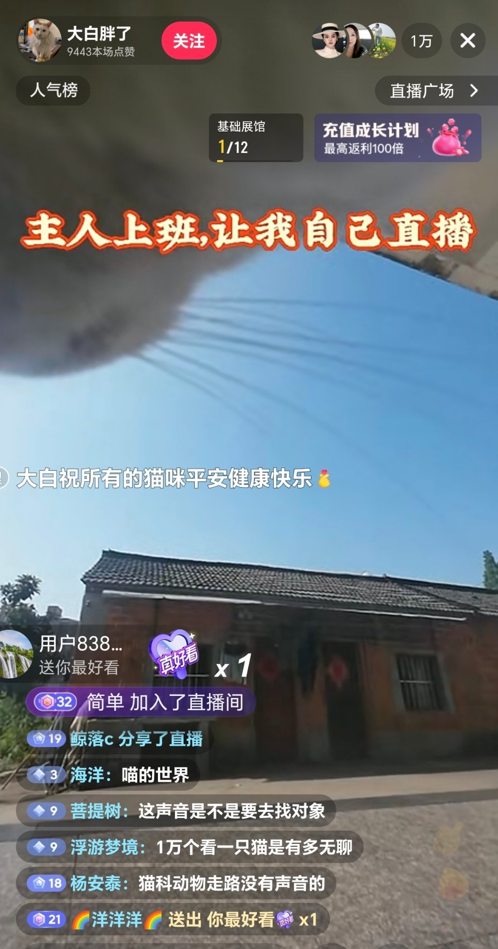万人围观村猫散步。。。。。 