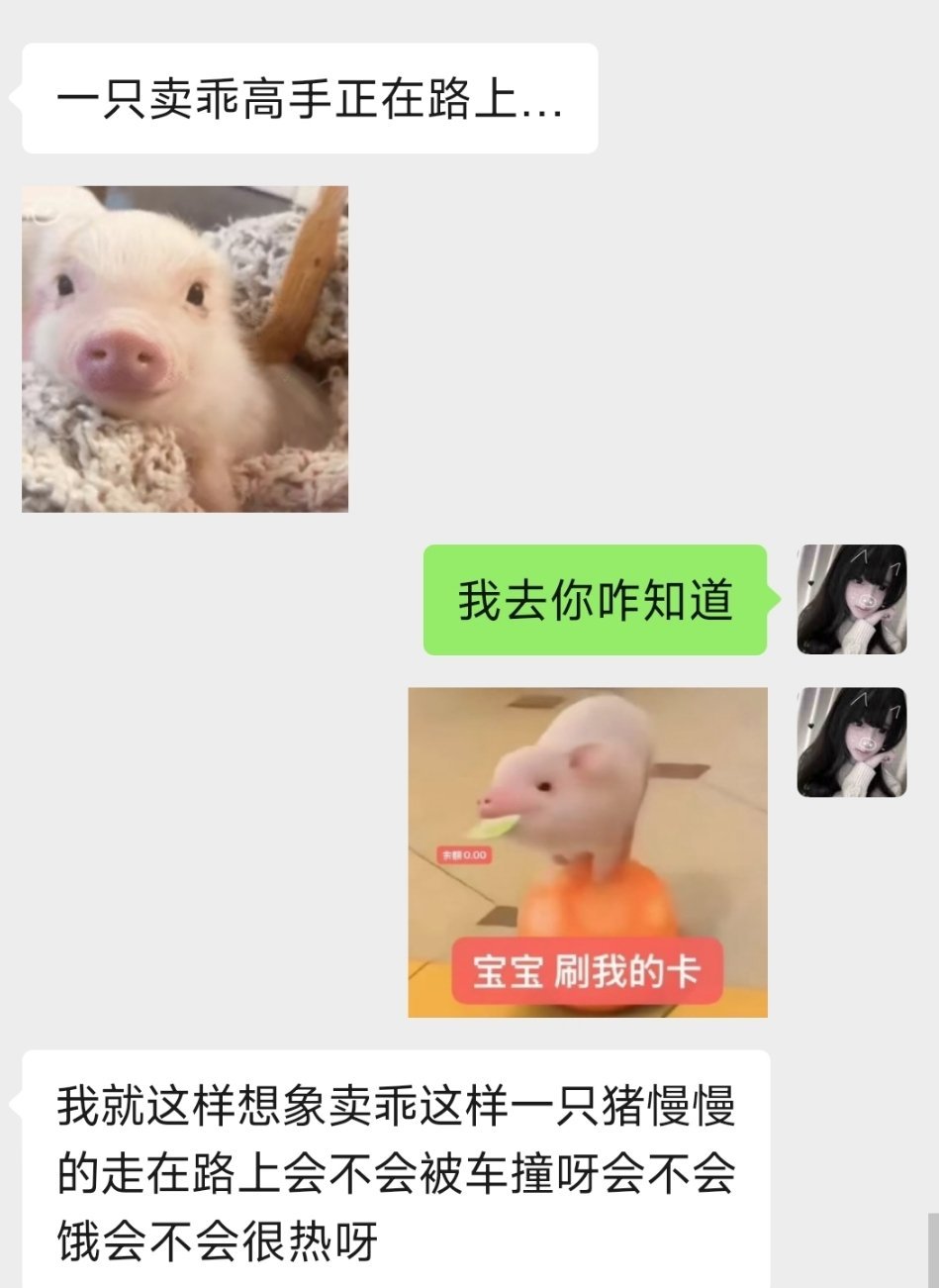 我家小猪圆真可爱呀 