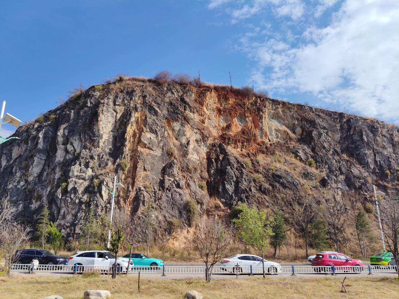春日生活打卡季