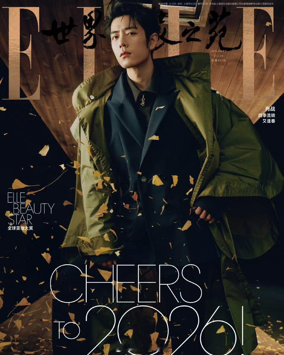 派酱安利 肖战elle杂志  《ELLE》开年刊OG单人封面表现力真是每次都能刷