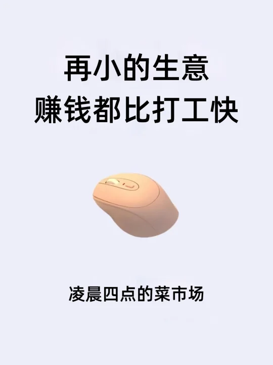 再小的生意赚钱都比打工快！！