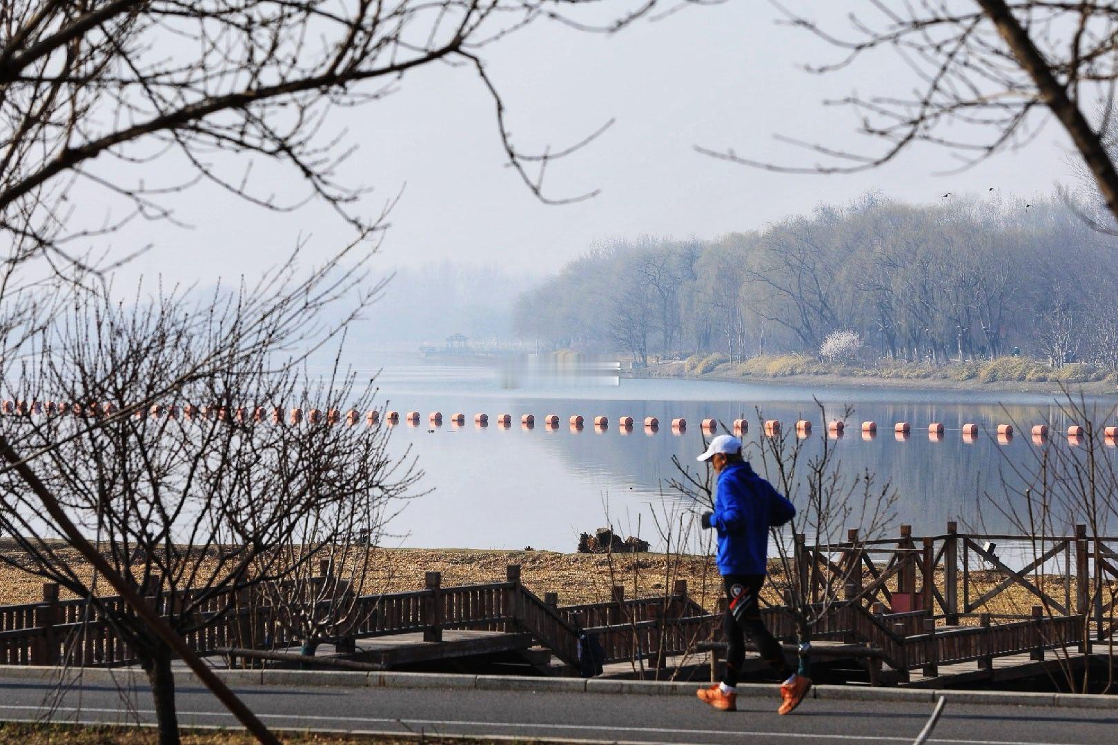 大运河森林公园春色摄影