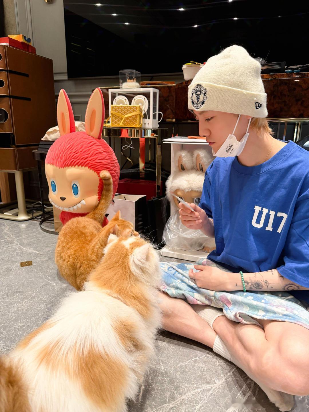 鹿晗给家里的两只猫喂猫条，这是对我早八的奖励吗？