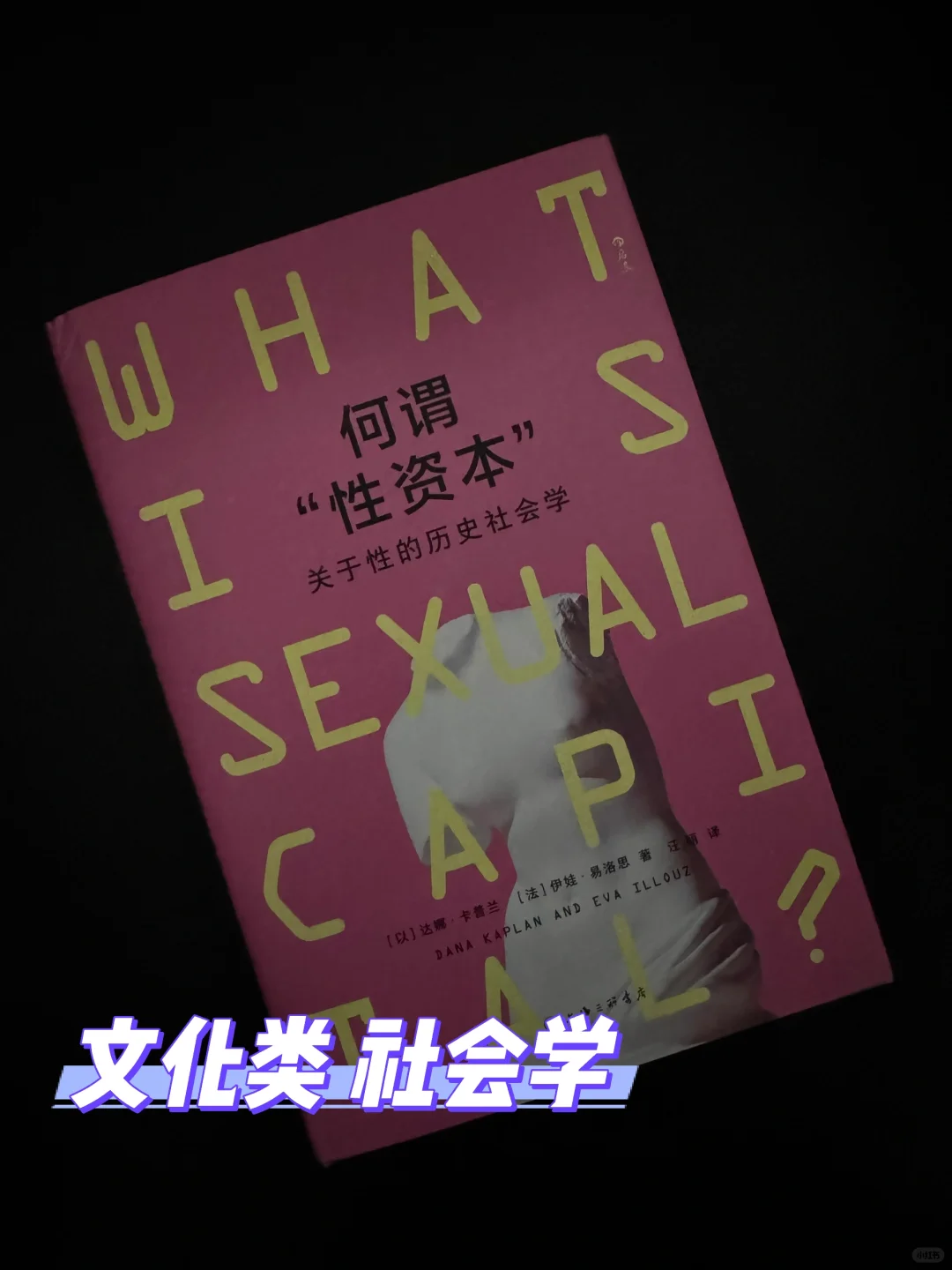 原本是想猎奇，却发现是一本非常社会学的书
