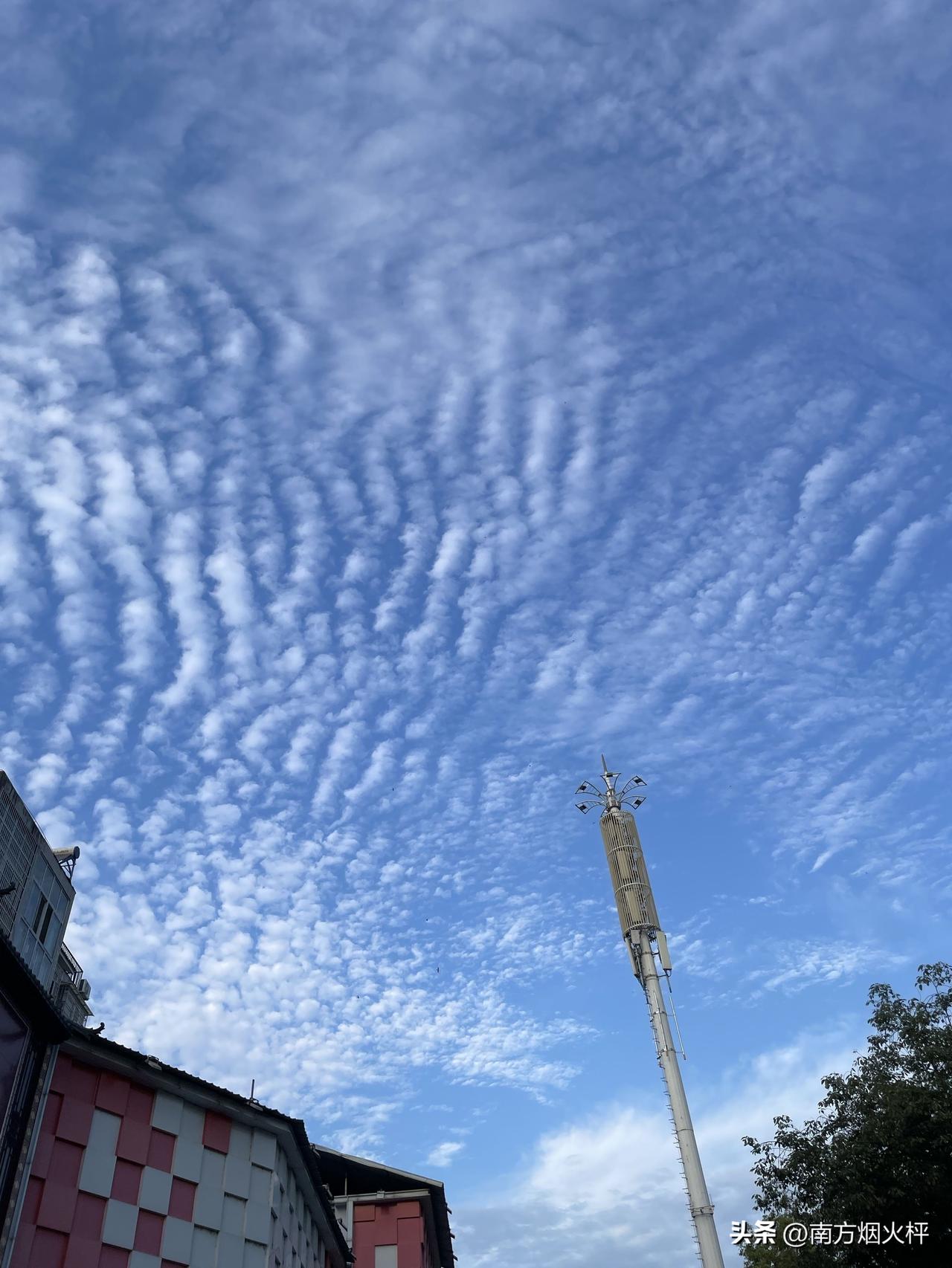 我们这今天的天气，夏日大太阳，开始热起来了。