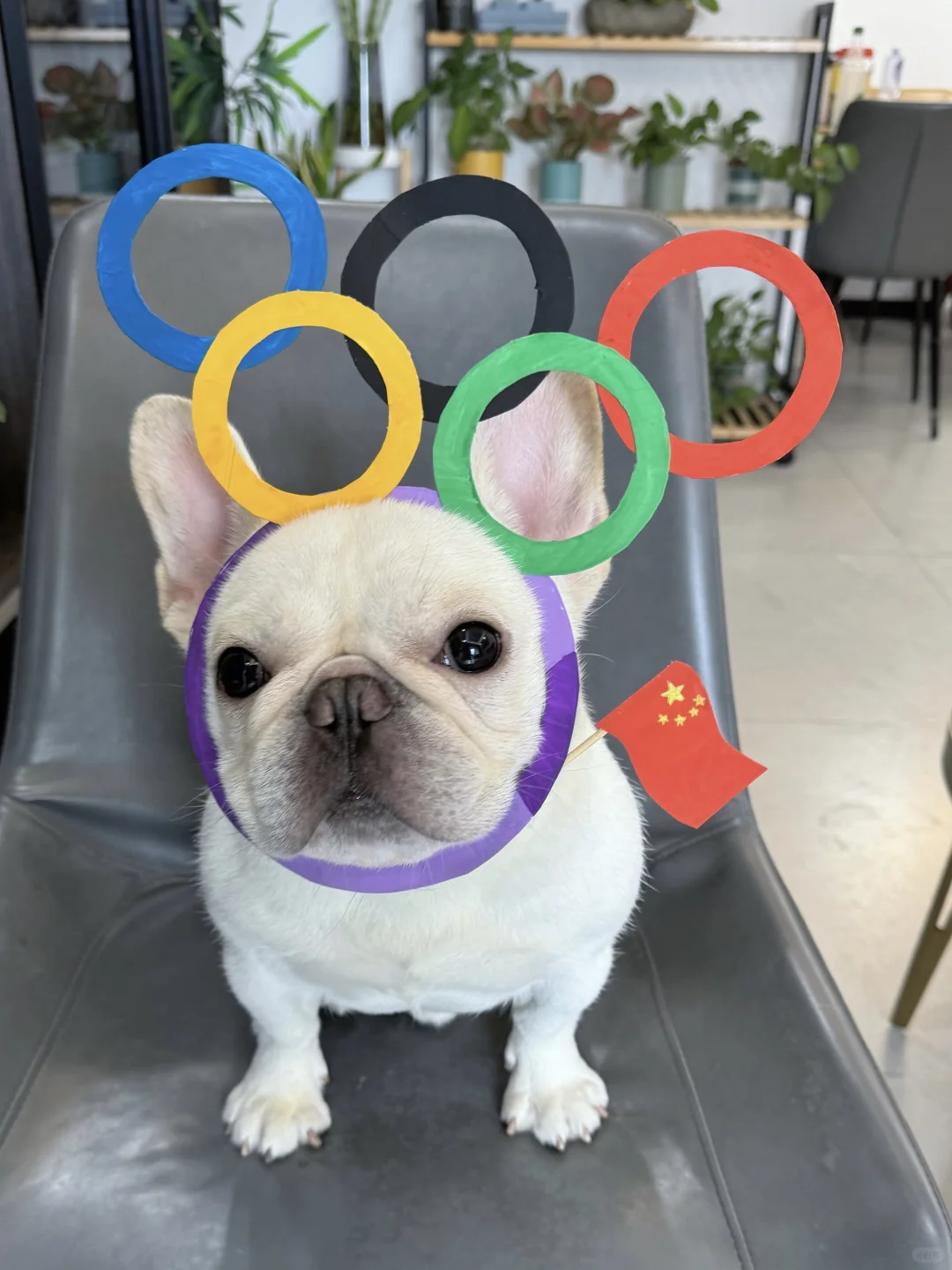 第一次当奥运加油宝宝，有点紧张