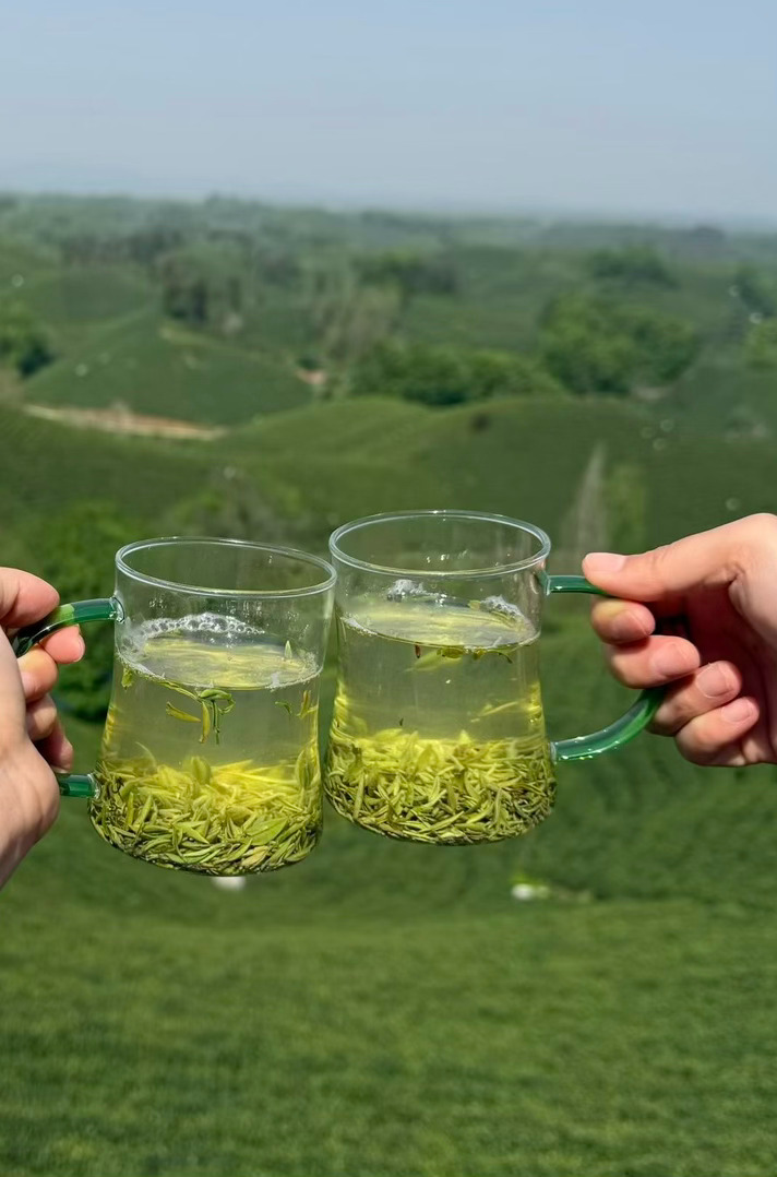 柚子哥哥暑假第40天plog～一开始去了茶园，哥哥弟弟参与度不高但是吃冰激凌的积