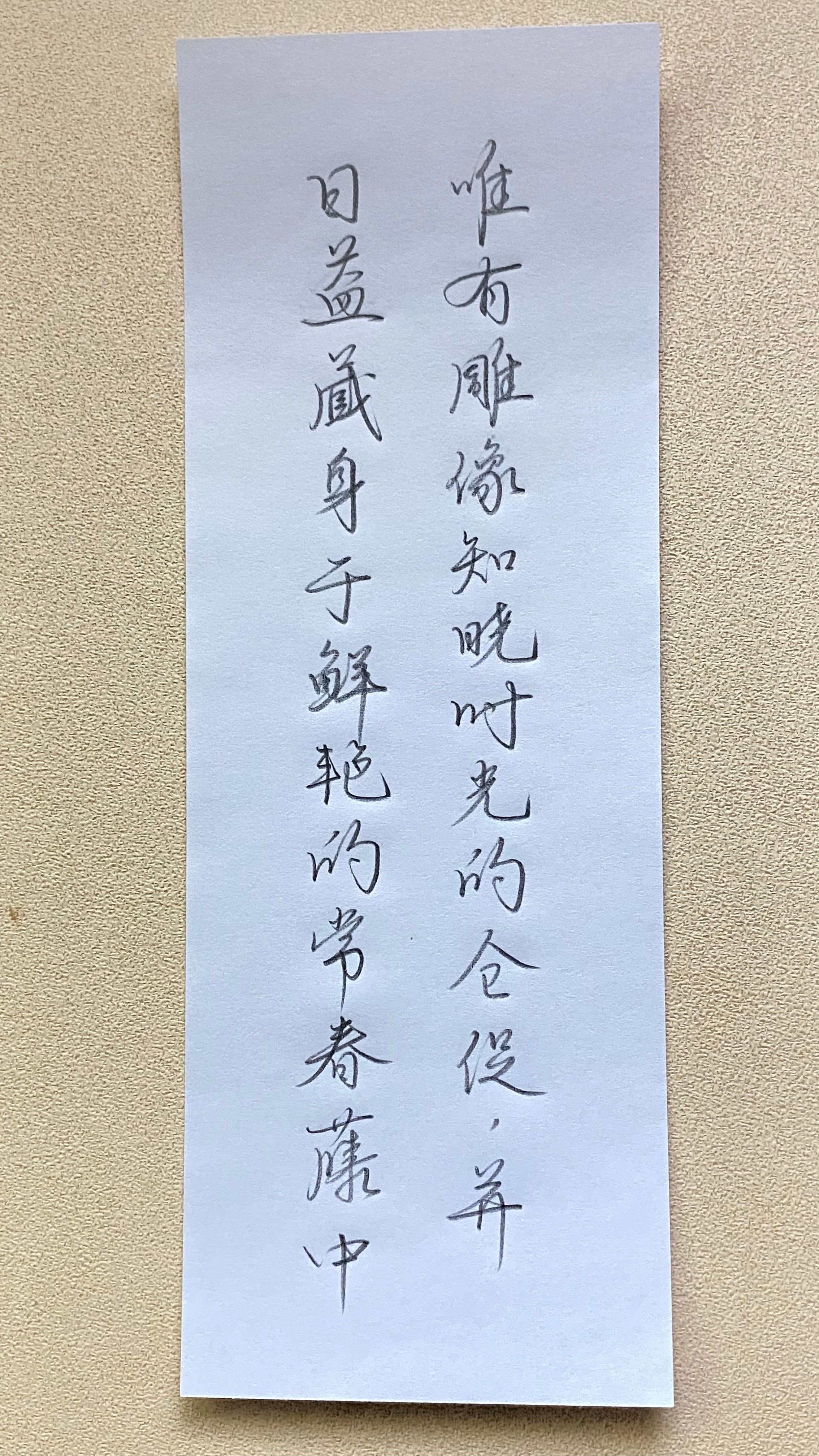 今日作业（2025.1.19）唯有雕像知晓时光的仓促，并日益藏身于鲜艳的常春藤中