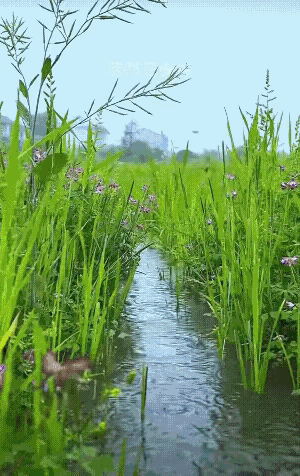 说实话，
我想回到过去了。