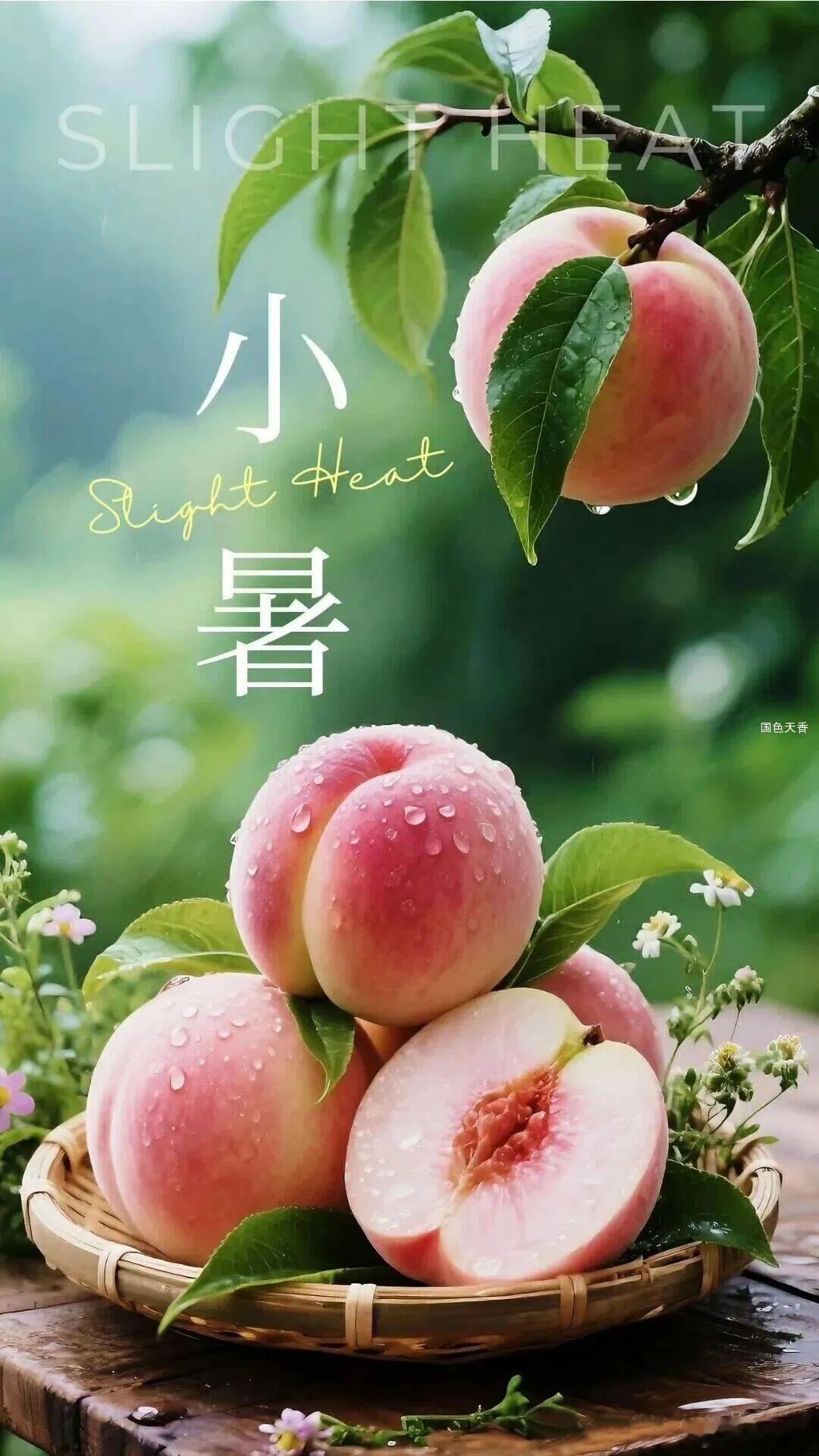 这个世上，真靠得住的就两种人：一种是笨人，一种是直人。笨人没有心眼儿，直人不使心