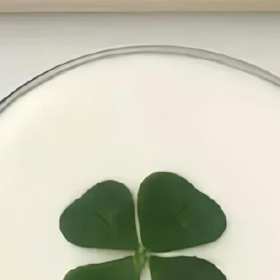 只需要用百分百的热情去做你热爱的事，久而久之就会变成天赋 