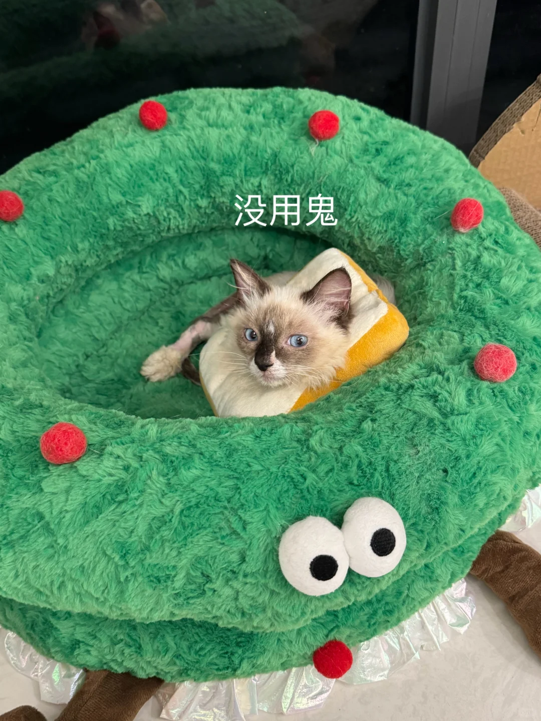 空手而归，输在了过于自信 ，碎叫！