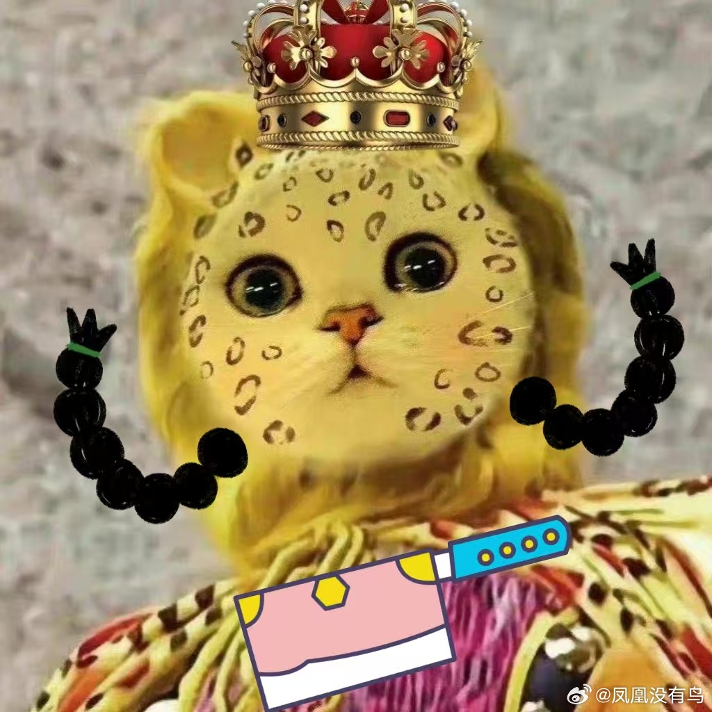 在下聂九鸟，现任凤（粉）刀 ​​​