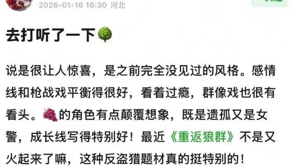 杨紫生命树repo。“很让人惊喜，是之前没见过的风格。”这部剧确实是以前流量很难