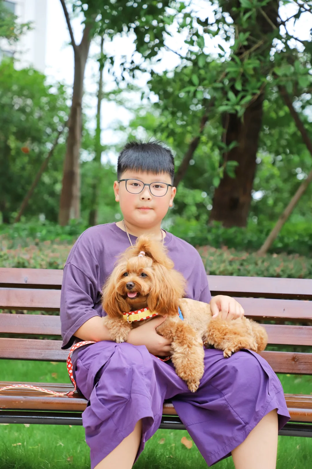 从小一起长大：狗狗与小朋友的深厚友谊