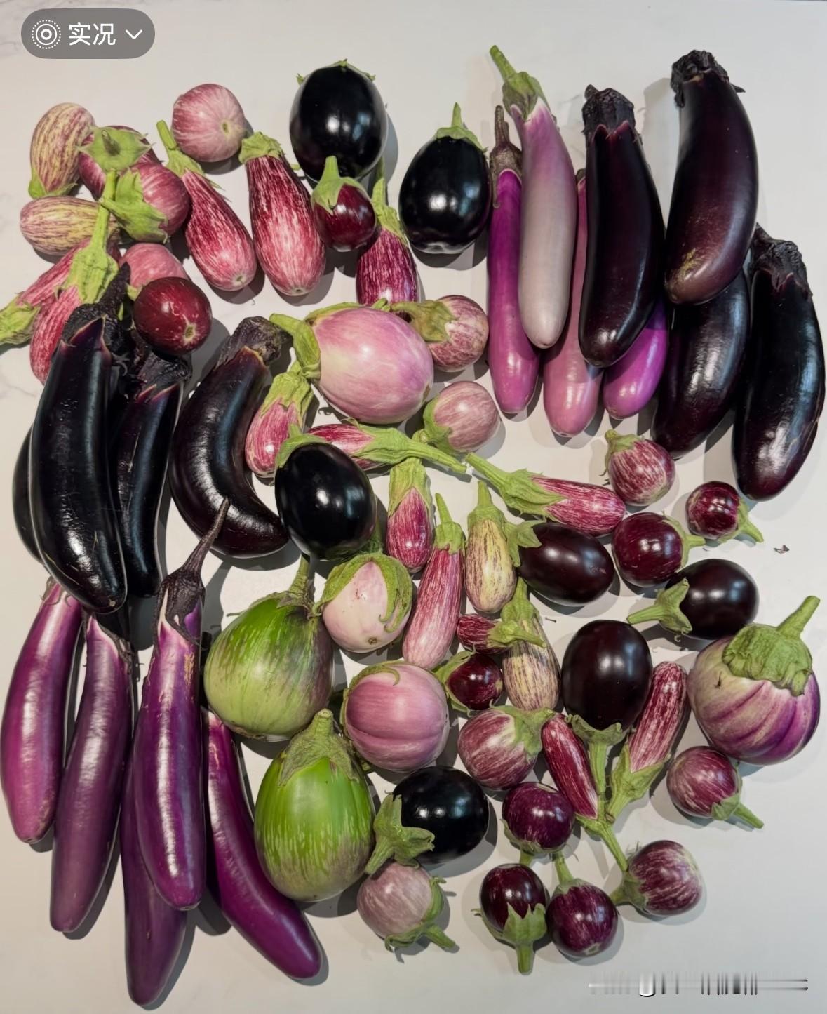 认识一下茄子🍆～欢迎补充…

上面黑色的是黑美人…
右边的是罗莎莉亚 …
你能