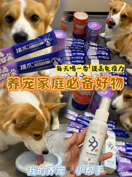 柯基玻璃胃免疫差？快试试搭爪A2绵羊奶粉💜