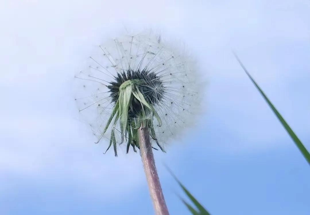 昨晚有人说用我抖音号做直播，因为他看我的粉丝比较多，好像不直播有点浪费。后来我想