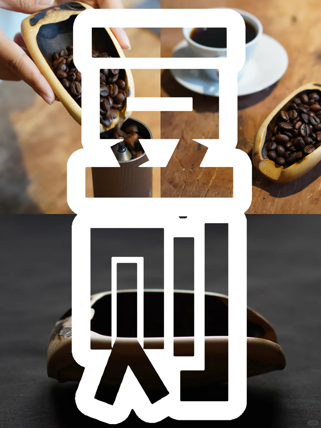 属于咖啡豆的则子