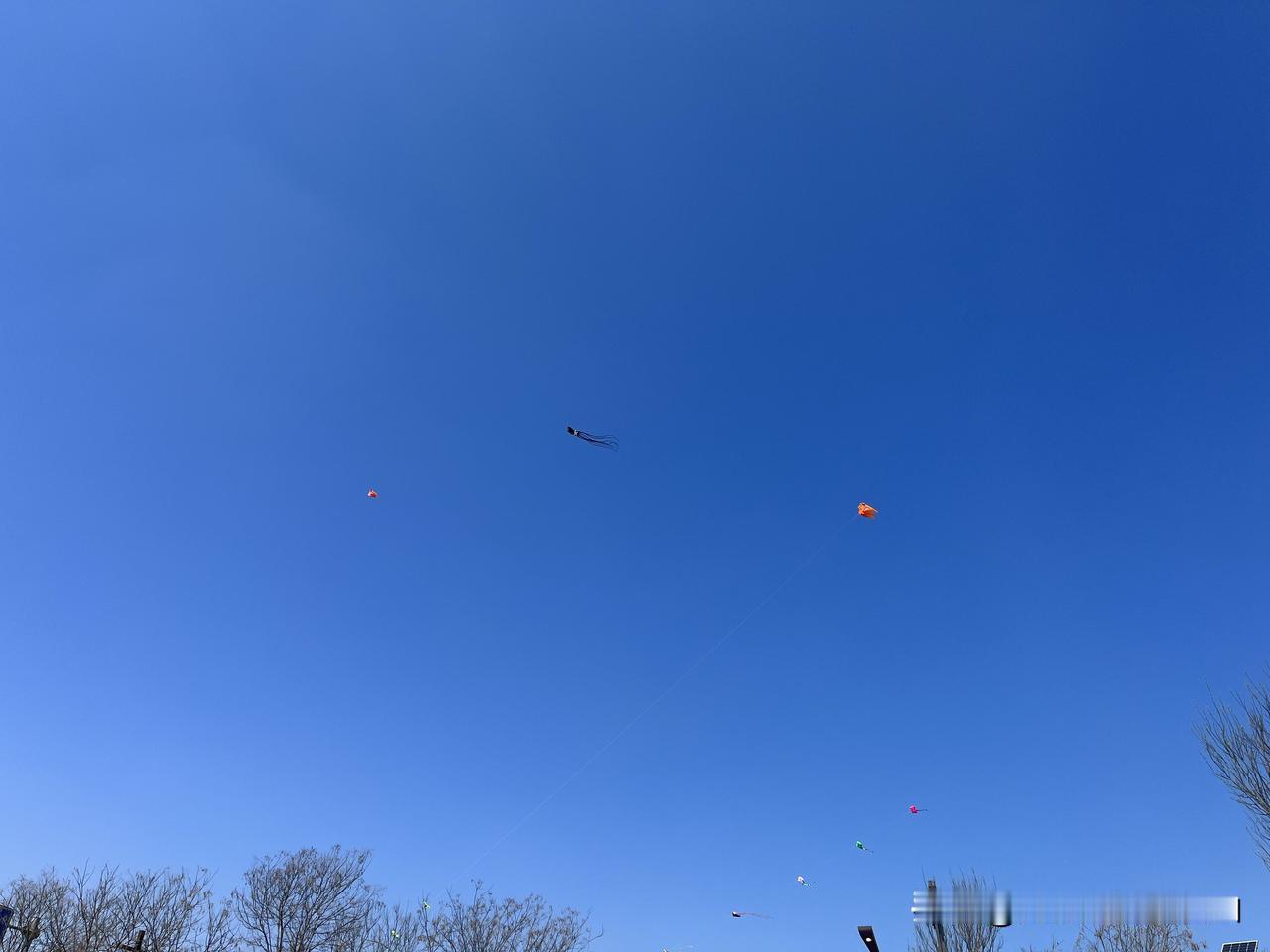 这片天是家乡的天，是大平原的天。蓝蓝的天空，没有一丝云彩。
那几个亮点是啥？
是