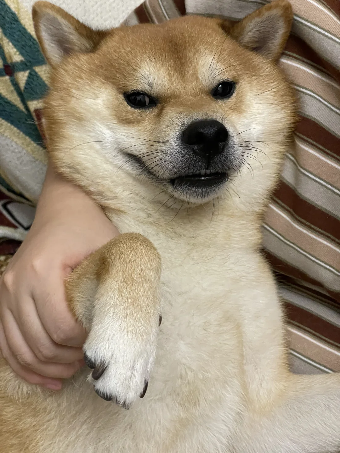 这么可爱不要命啦！！💗