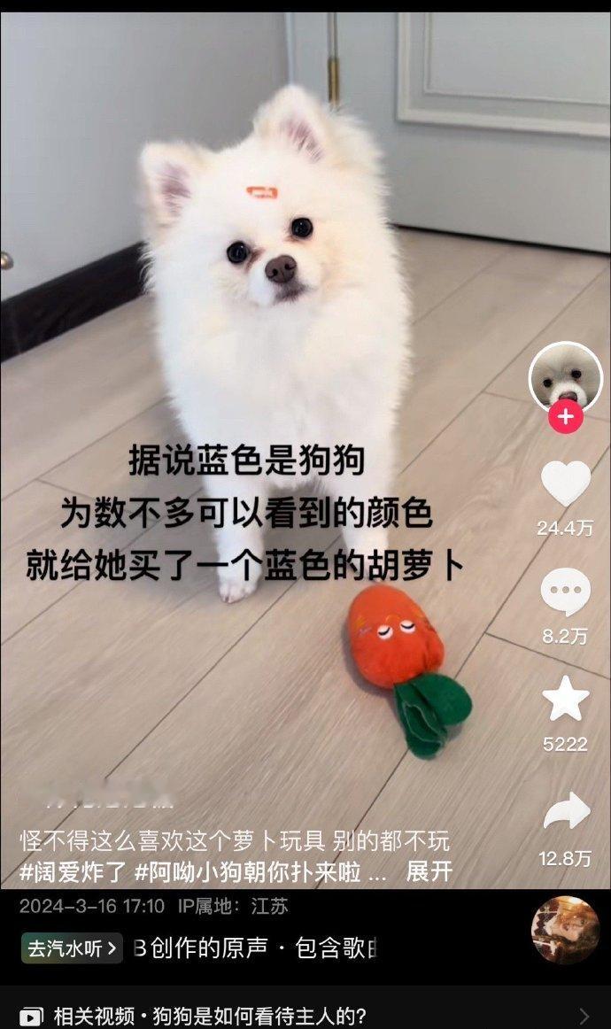 狗狗：谢谢，你是色盲你知道不？