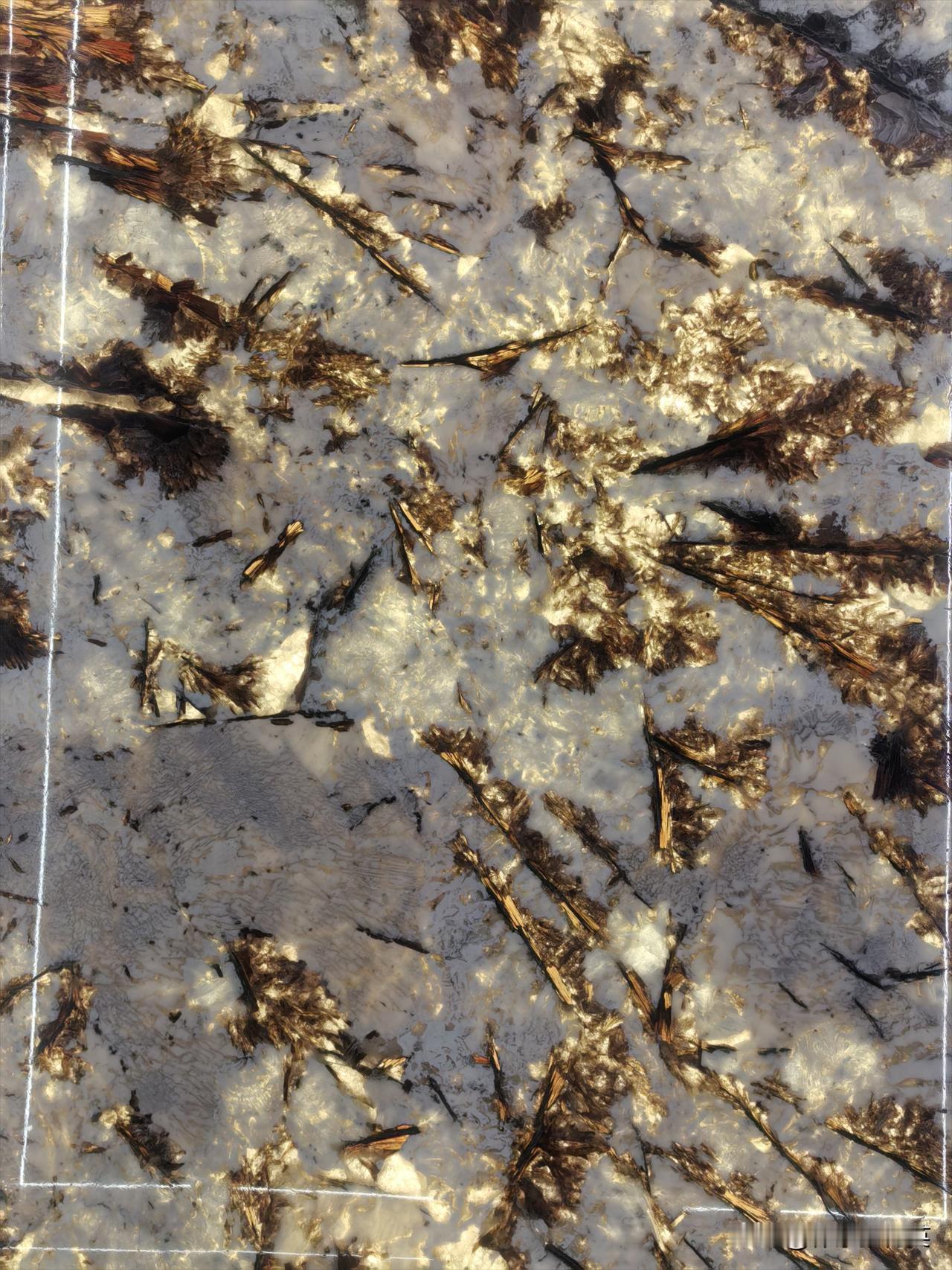 善良自有回响，温柔源于底气
 
善良从不会被辜负，那些你曾给予的温暖、伸出的援手