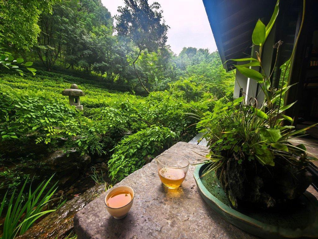 终于下雨了，绿色都更润了在廊下听雨喝茶，人生一大美事 