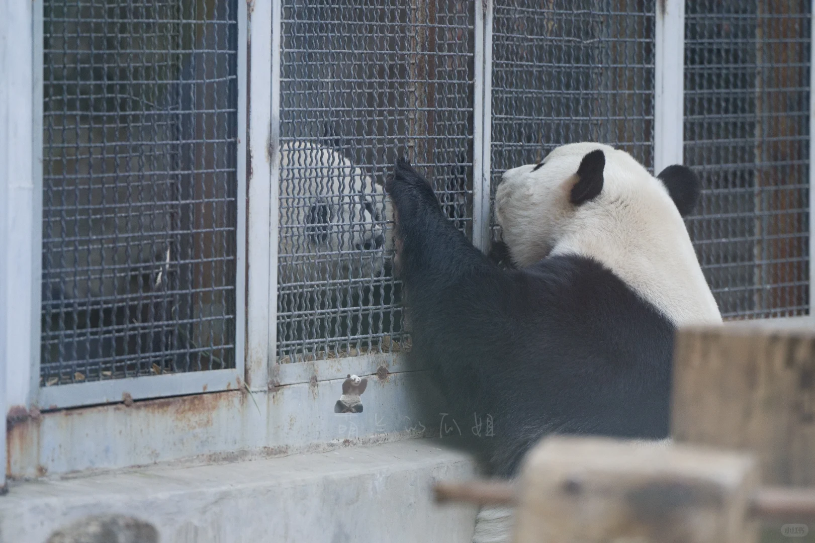 和妹妹互摸大脸ber（谁的大，偷偷跟ee说……