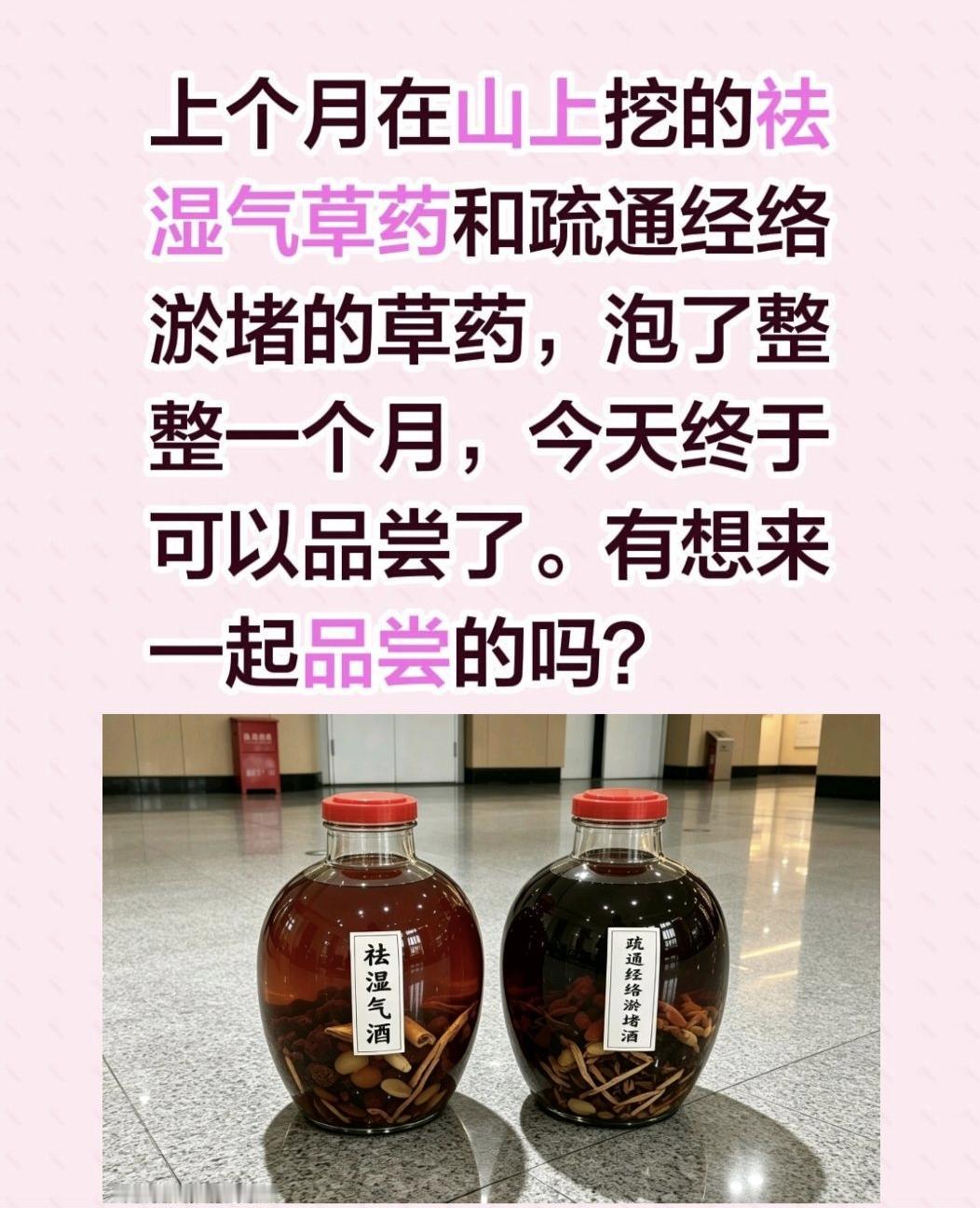 上个月在山上挖的祛湿气草药和疏通经络淤堵的草药，泡了整整一个月，今天终于可以品尝