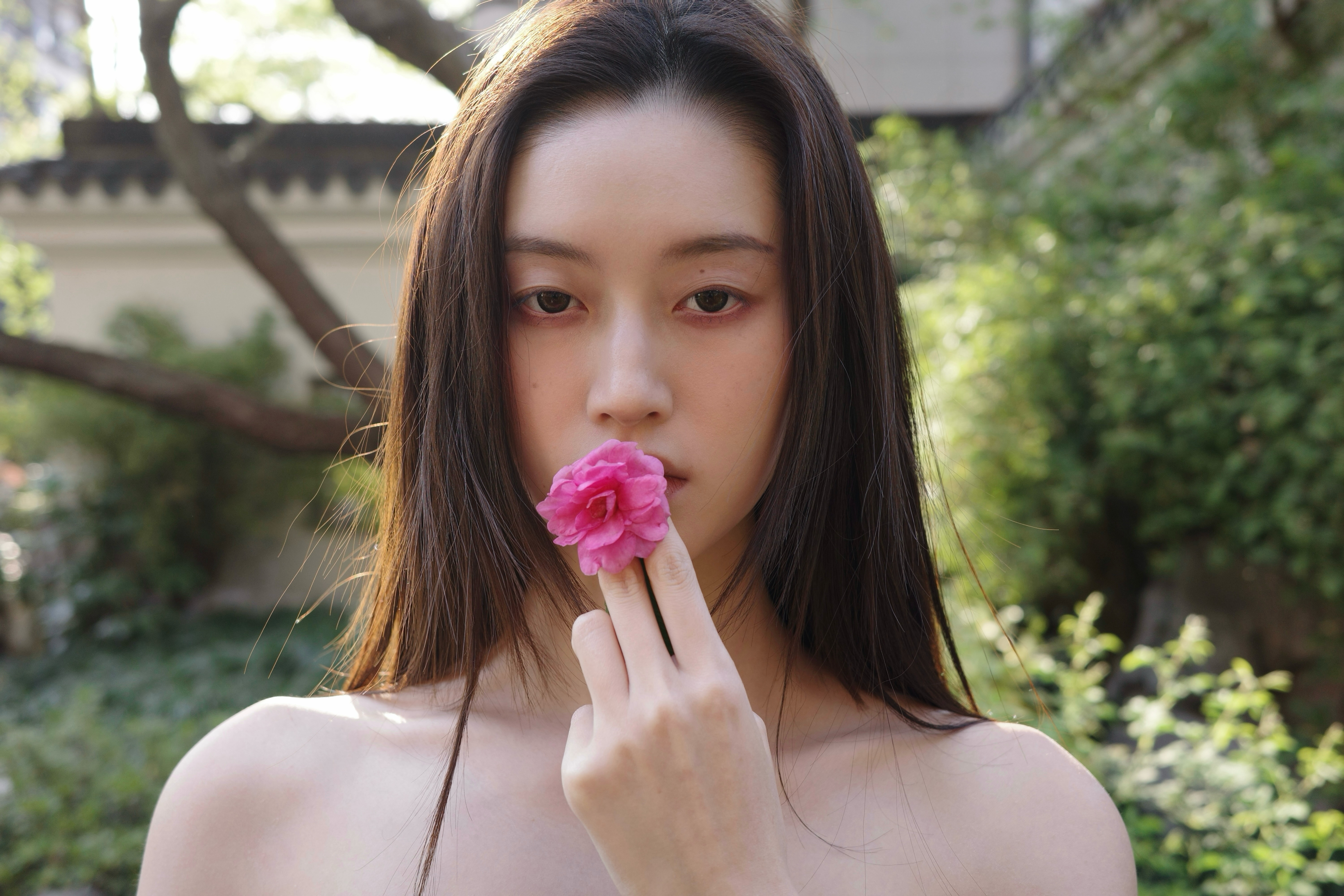 🌸 ​​​