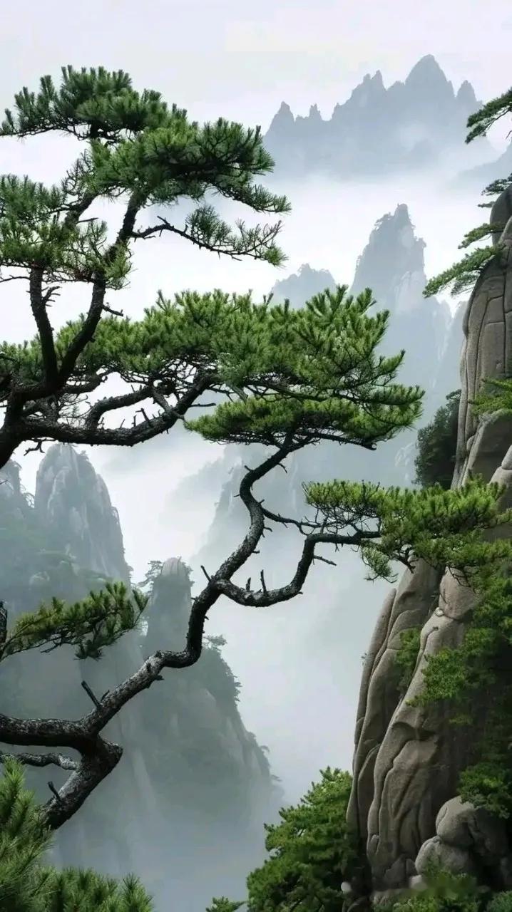 天净沙·自勉
男儿休道悲愁，
学如松立荒丘。
霜雪千番炼就。
骨刚神秀，
韵中吟