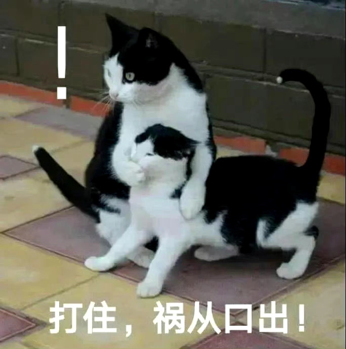 大学生发疯必备表情包 ​​​