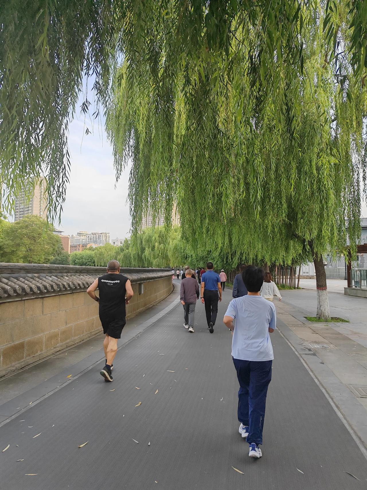 北魏明堂遗址博物馆晨跑走起🏃🏃